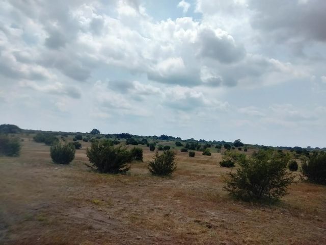 514 Hollow Drive, Lipan, TX 76433