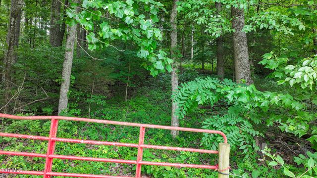 14640 Kingsport Highway, Chuckey, TN 37641