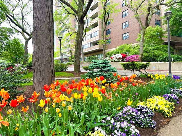 9 Hawthorne 114N, Boston, MA 02114
