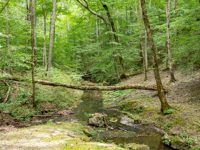 6011 Garrison Springs Rd, Franklin, TN 37064