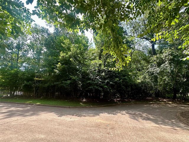 13419 Cherry Hill Circle, Montgomery, TX 77356