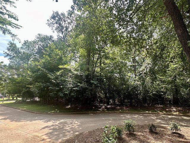13419 Cherry Hill Circle, Montgomery, TX 77356
