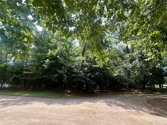 13419 Cherry Hill Circle, Montgomery, TX 77356