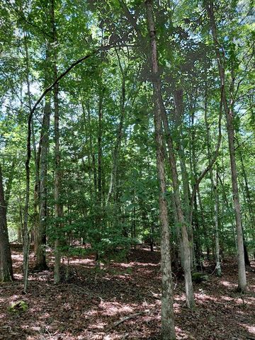 Lot 8 S Quail Cove Circle, Warne, NC 28909