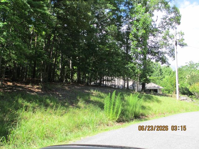 Lot 8 S Quail Cove Circle, Warne, NC 28909