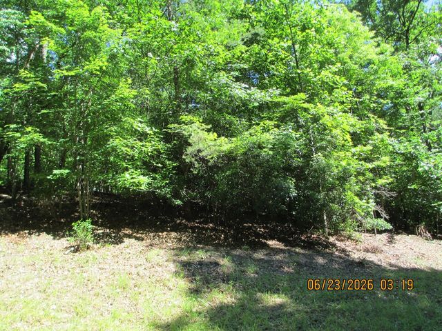 Lot 8 S Quail Cove Circle, Warne, NC 28909