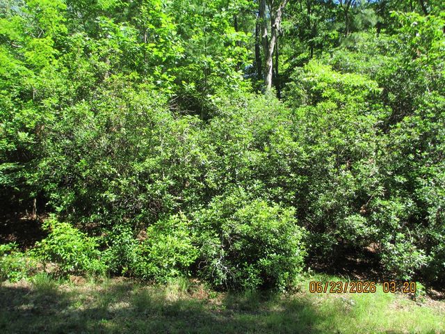 Lot 8 S Quail Cove Circle, Warne, NC 28909