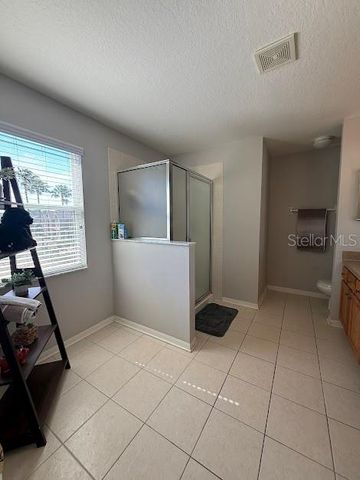 17535 STINCHAR DRIVE, Land O Lakes, FL 34638