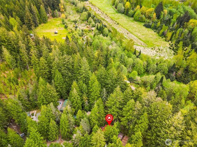 94 4 Christmas Tree Drive, Deming, WA 98244
