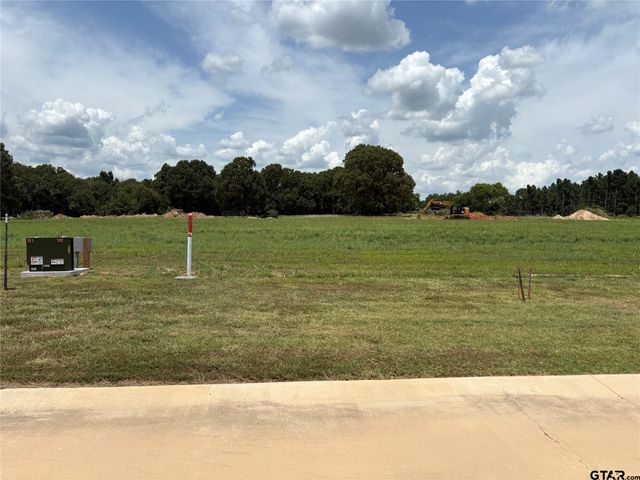 Lot 20 Private Road 5948, Yantis, TX 75497