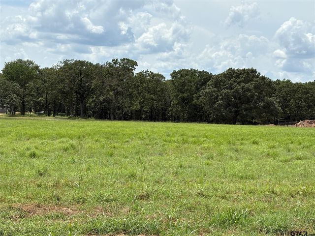 Lot 20 Private Road 5948, Yantis, TX 75497