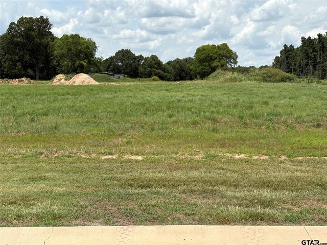 Lot 20 Private Road 5948, Yantis, TX 75497