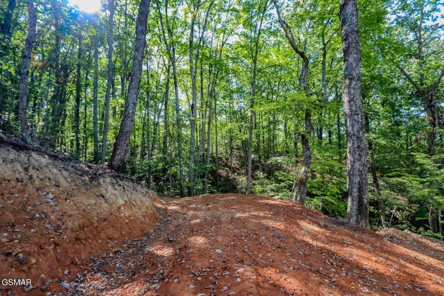 133 Huffman Way, Newport, TN 37821