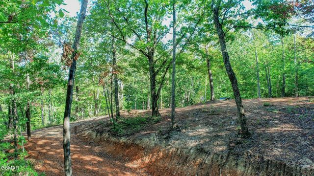133 Huffman Way, Newport, TN 37821