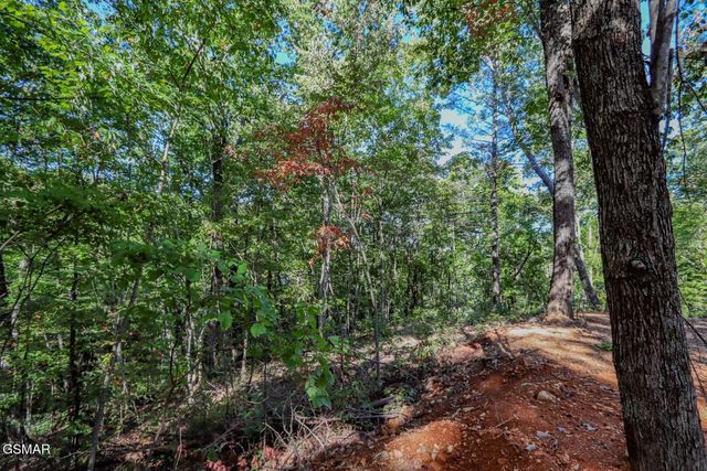 133 Huffman Way, Newport, TN 37821