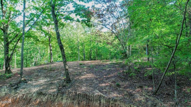 133 Huffman Way, Newport, TN 37821