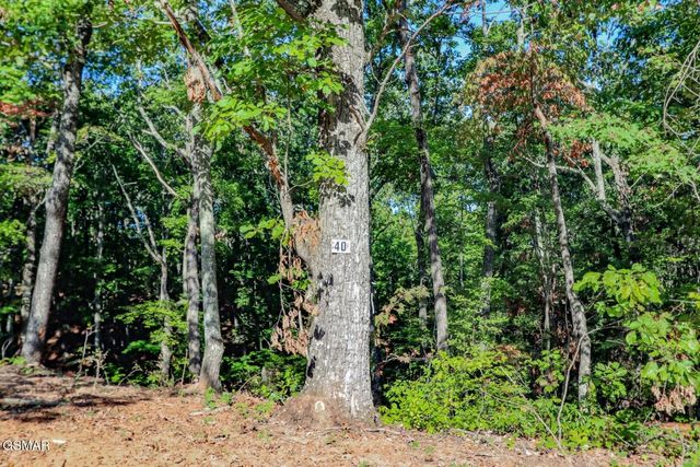 133 Huffman Way, Newport, TN 37821