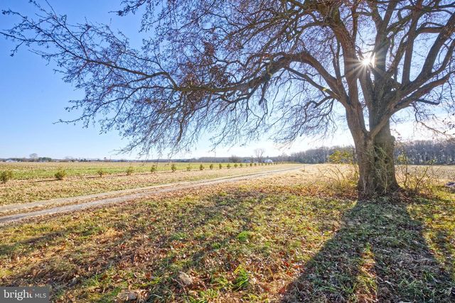 2199 BROWNSVILLE RD, Harrington, DE 19952