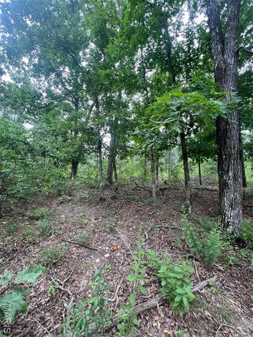 366 Ripley 142E-16, Doniphan, MO 63935