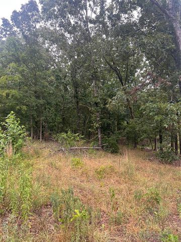 366 Ripley 142E-16, Doniphan, MO 63935