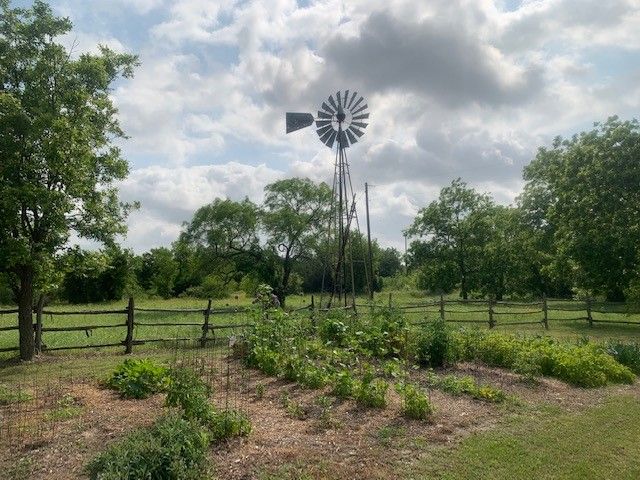 1695 Fm 2823, Carlton, TX 76436