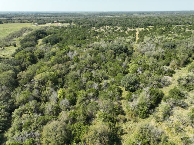 1695 Fm 2823, Carlton, TX 76436