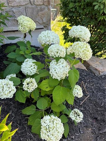 9828 Vista Drive, Lenexa, KS 66220