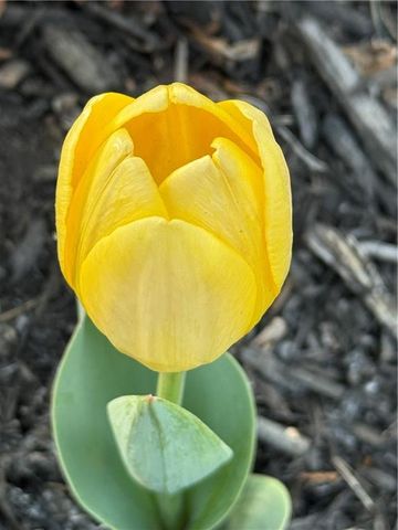 9828 Vista Drive, Lenexa, KS 66220