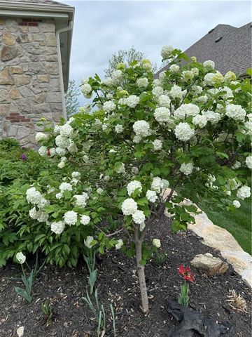 9828 Vista Drive, Lenexa, KS 66220