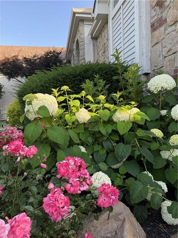 9828 Vista Drive, Lenexa, KS 66220