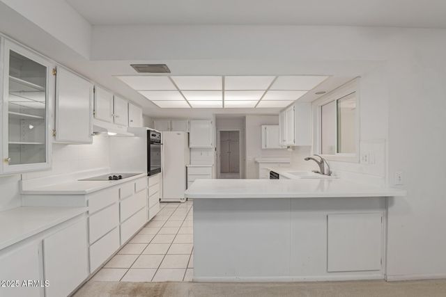 9302 W Spanish Moss Lane, Sun City, AZ 85373