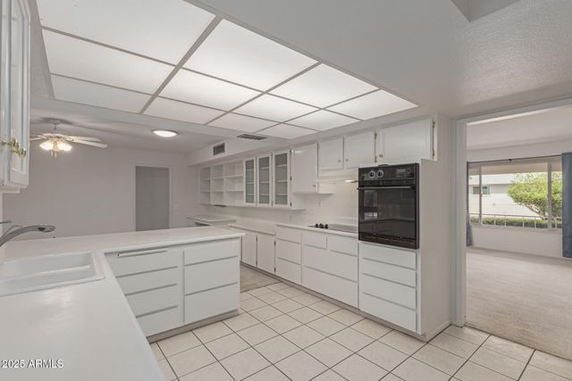 9302 W Spanish Moss Lane, Sun City, AZ 85373