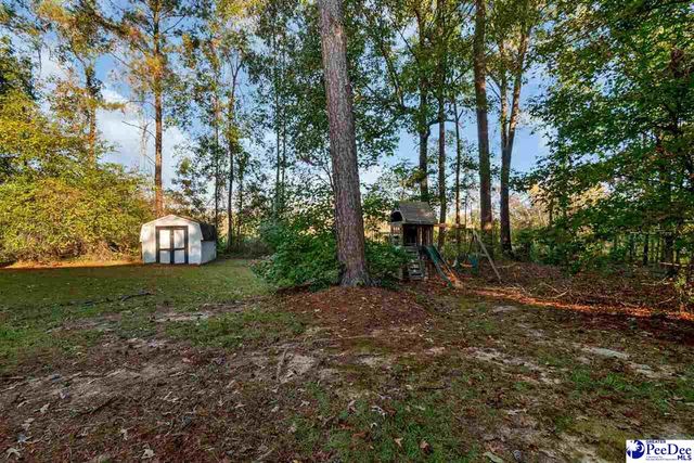 225 Hawthorne Lane, Cheraw, SC 29520