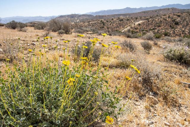 133 Elata Avenue, Yucca Valley, CA 92284