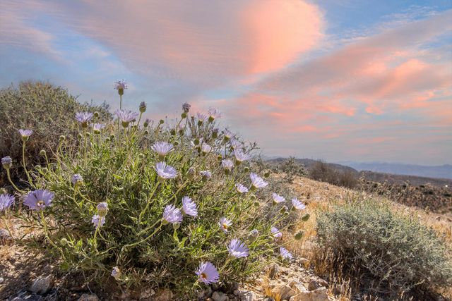 133 Elata Avenue, Yucca Valley, CA 92284