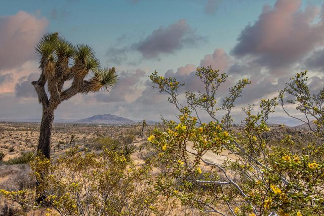 133 Elata Avenue, Yucca Valley, CA 92284