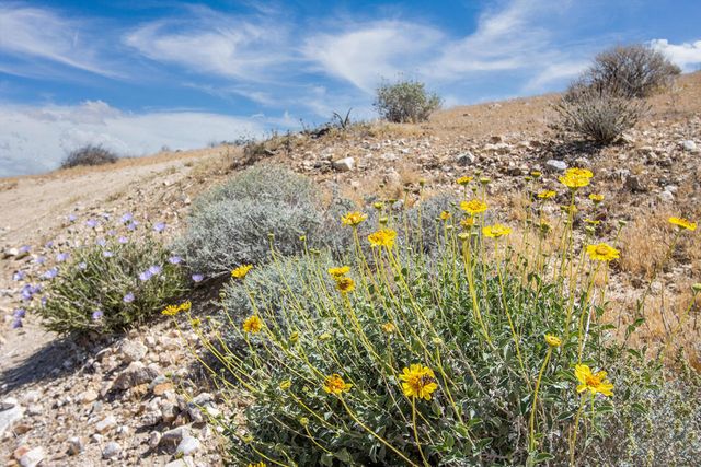 133 Elata Avenue, Yucca Valley, CA 92284