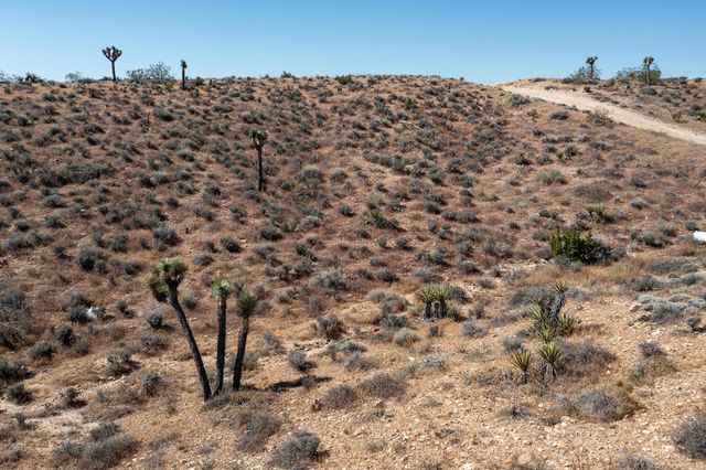 133 Elata Avenue, Yucca Valley, CA 92284
