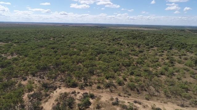 tbd tbd, Albany, TX 76430