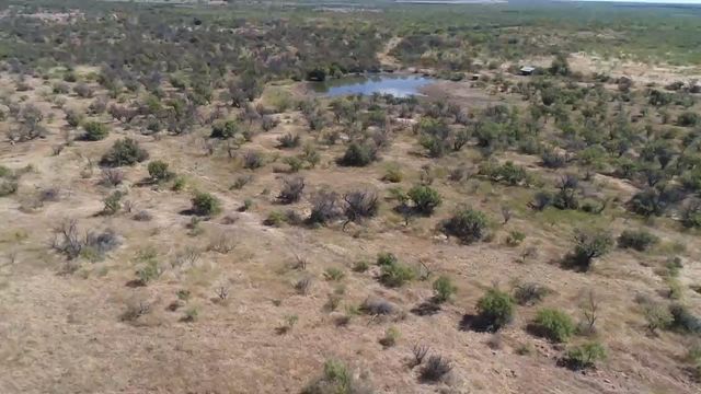 tbd tbd, Albany, TX 76430
