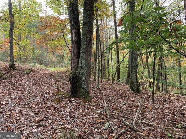 128 Adair Drive, Ranger, GA 30734