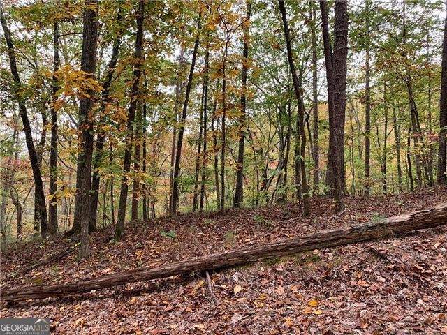 128 Adair Drive, Ranger, GA 30734