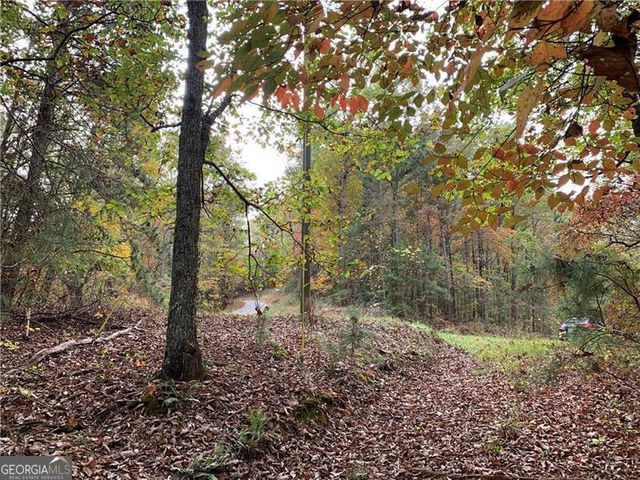 128 Adair Drive, Ranger, GA 30734