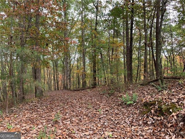 128 Adair Drive, Ranger, GA 30734