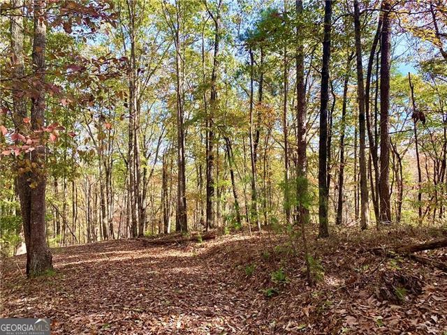 128 Adair Drive, Ranger, GA 30734