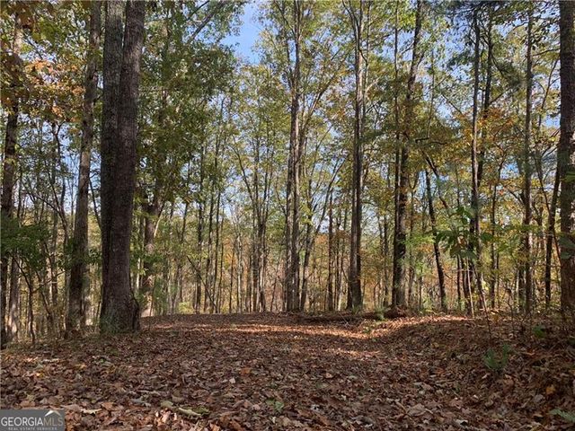 128 Adair Drive, Ranger, GA 30734