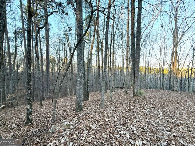 128 Adair Drive, Ranger, GA 30734