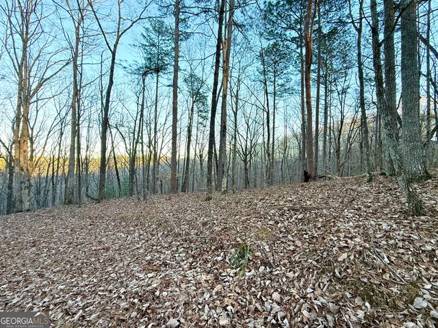 128 Adair Drive, Ranger, GA 30734