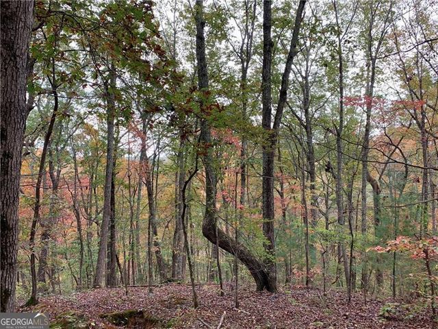 128 Adair Drive, Ranger, GA 30734