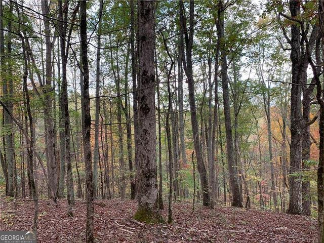 128 Adair Drive, Ranger, GA 30734